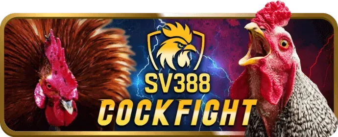 Công bằng và minh bạch aa88